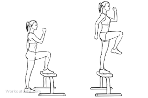 Step_up_with_Knee_Raise-1