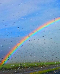 Rainbow resize