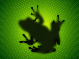 frog