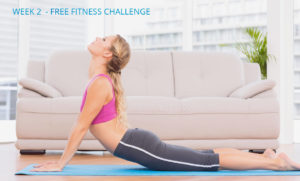 Week 2 Free Fitness Challege