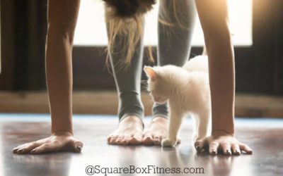 Hamstrings and Back Pain