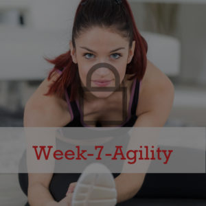 Week 7 Agility lock