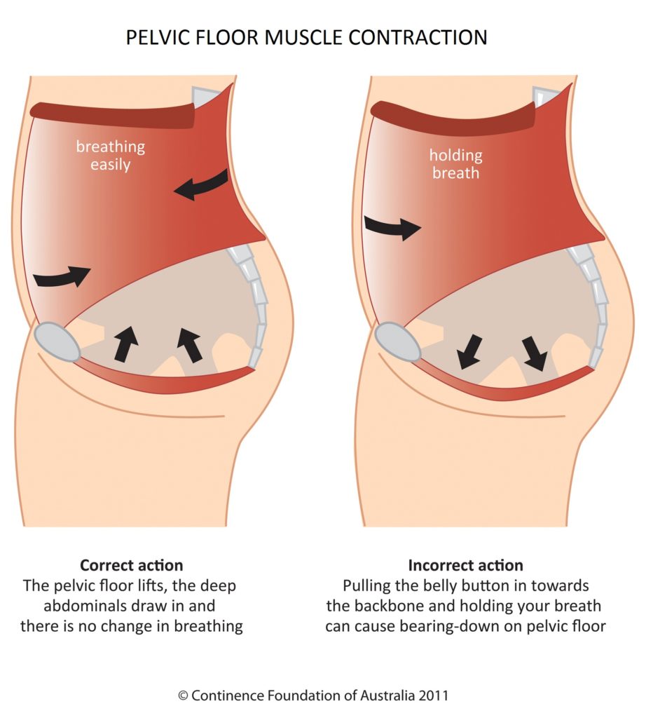 pelvic floor engagement